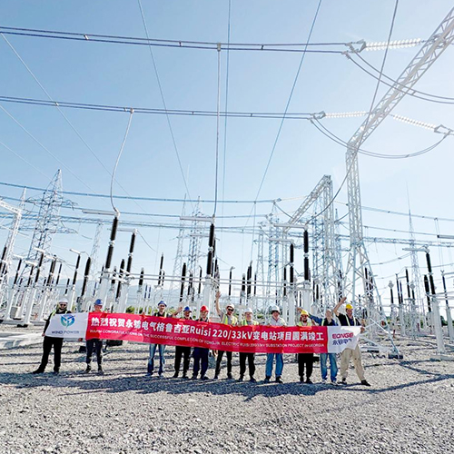 220/33kV Ruisi Substation EPC Project, Georgia